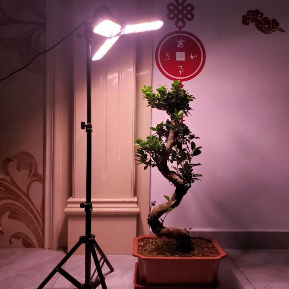 Light Bulb Stand 2M, E27 AC So - đánh giá và giá Photography Umbrella Light