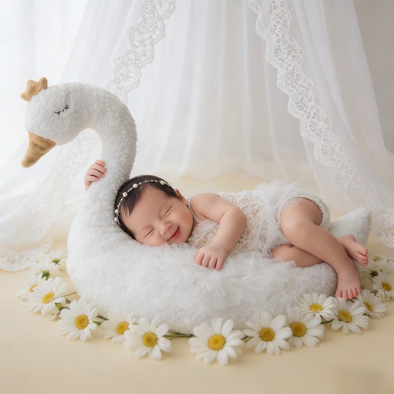 Newborn Photography Prop Swan  - đánh giá và giá Photography Day