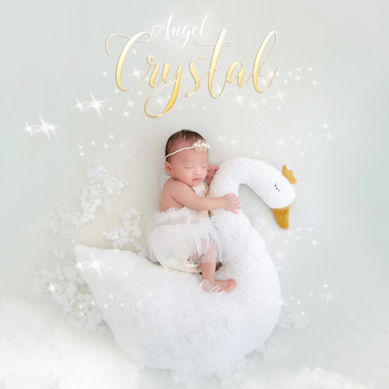 Newborn Photography Prop Swan  - đánh giá và giá Photography Day