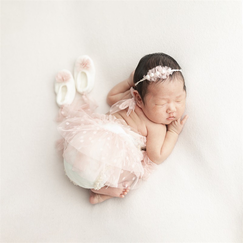 Newborn Photography Prop Swan  - đánh giá và giá Photography Day
