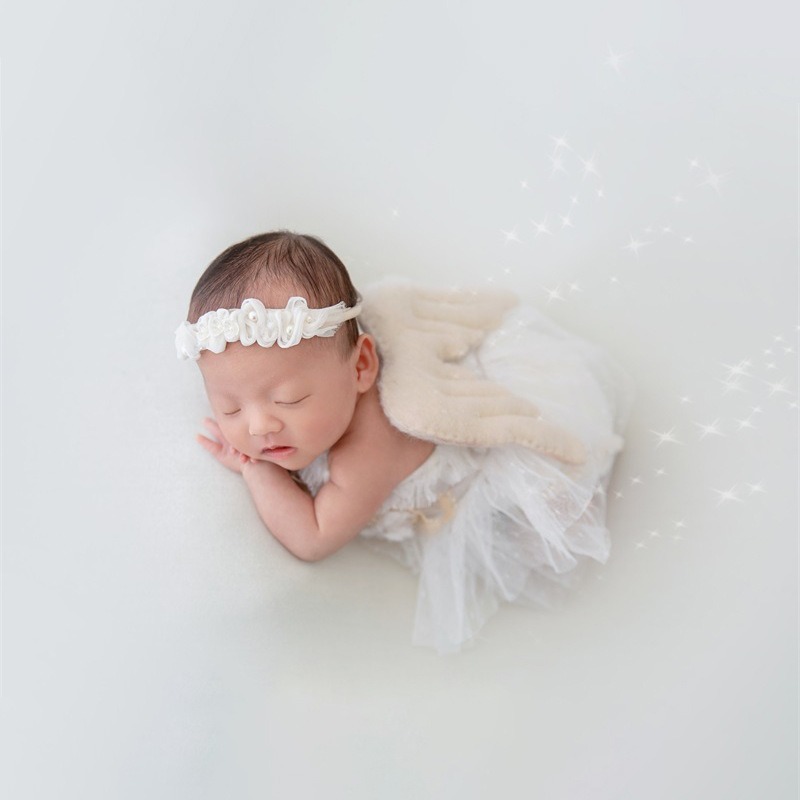 Newborn Photography Prop Swan  - đánh giá và giá Photography Day