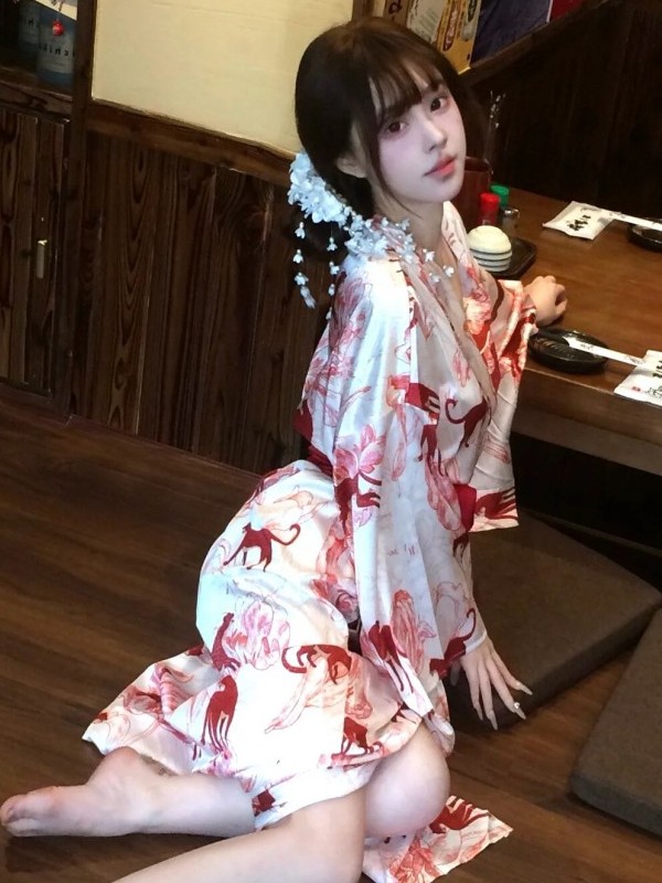New Chinese Style Sleepwear Ha - đánh giá và giá Photography Lighting