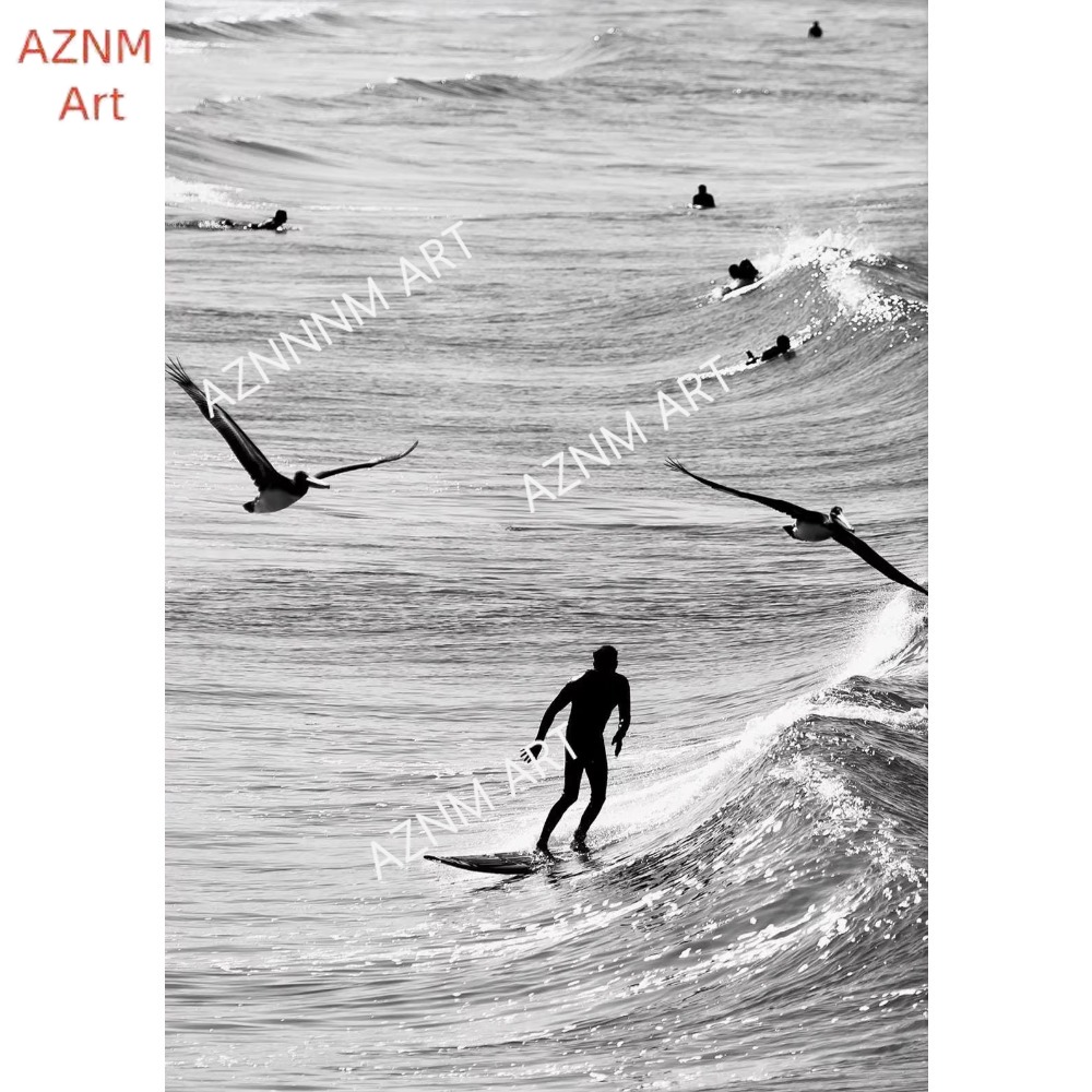 1PC ，Fine Surfing Black and Wh - đánh giá và giá Photography Class