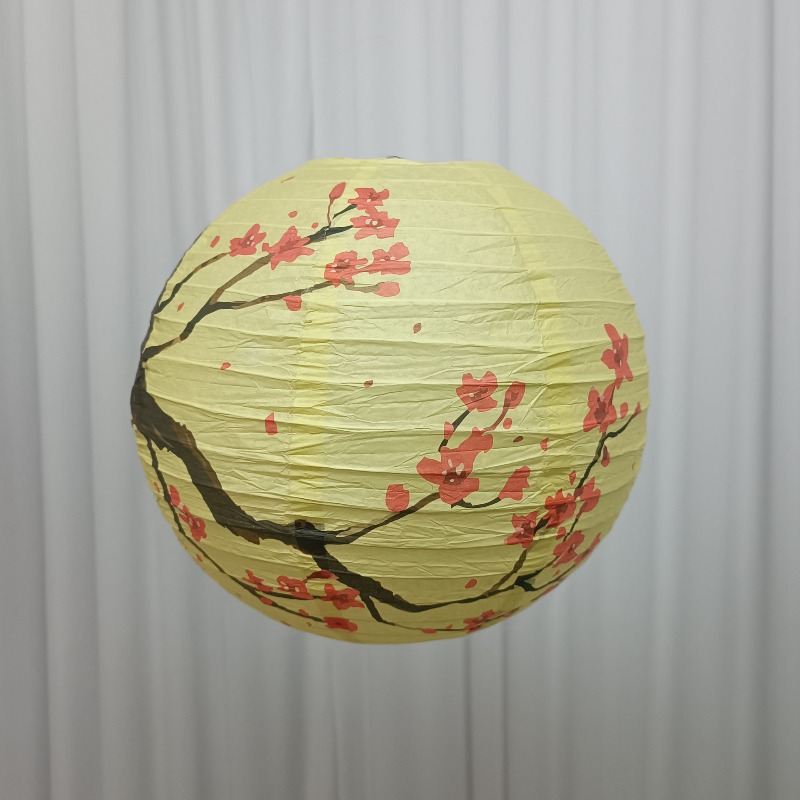 30cm Printed Paper Chinese Sty - đánh giá và giá Photography Day